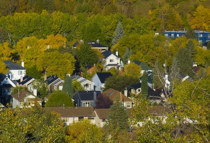 Community surrounded by trees