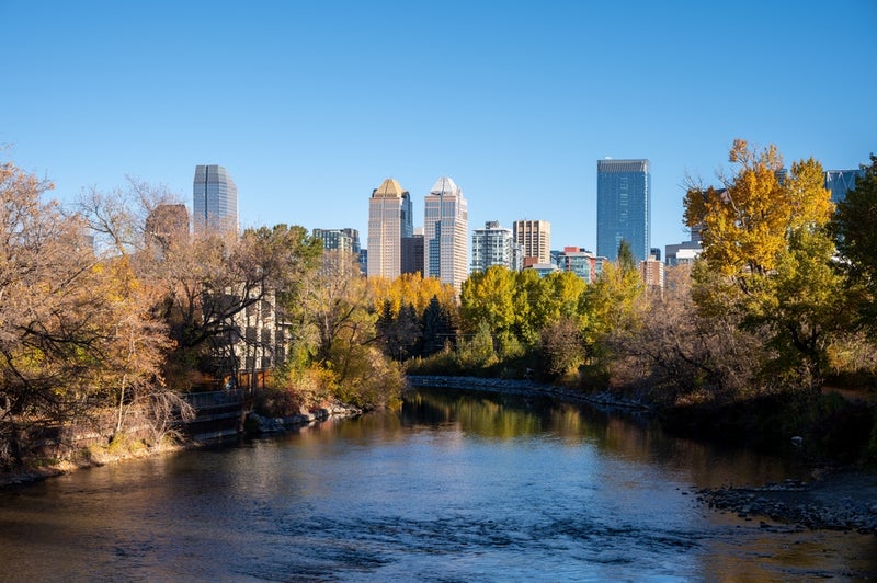 Calgary skyline from elbow river